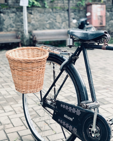 Upsy Daisy Day- How did you learn to ride a bicycle?