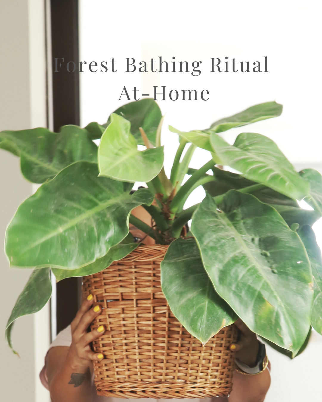 Forest Bathing Ritual At-Home