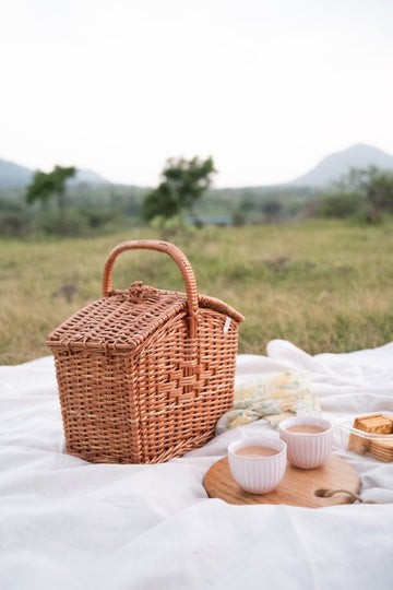 Picnic Day: The DaisyLife Way!