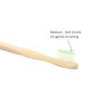 DAISYLIFE Natural Color and Eco-friendly wooden BRUSH