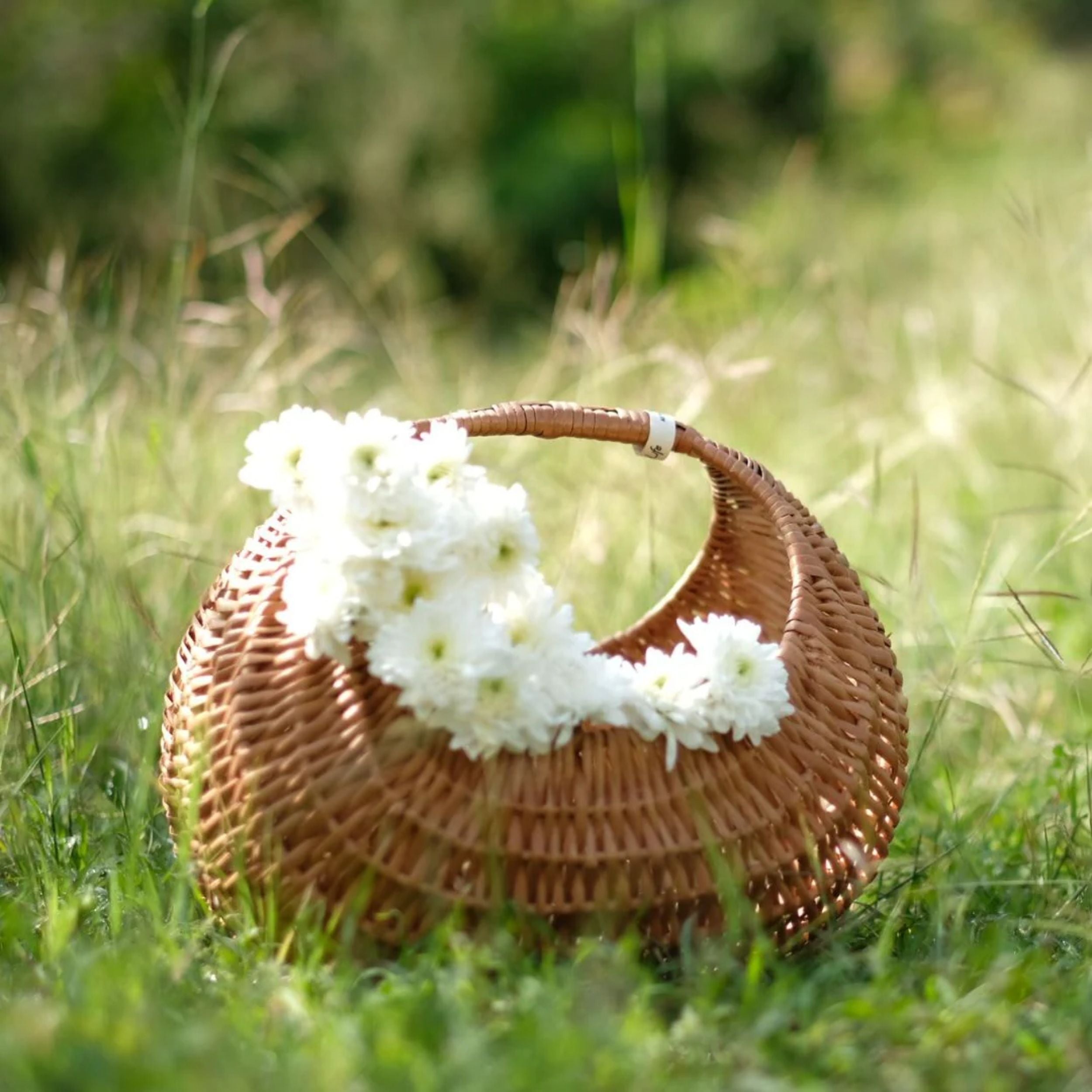 Moon Wicker Basket DaisyLife