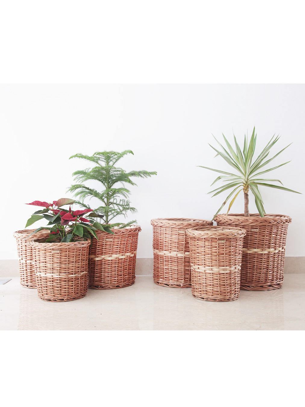 DaisyLife-natural-wicker-planters