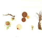 Forest/ woods basket arrangement for wall decor above dining table