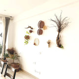 Side view of Forest/ woods basket arrangement for wall decor above dining table