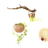 Close up of Forest/ woods basket arrangement for wall decor above dining table