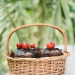 DaisyLife natural wicker round basket with handle