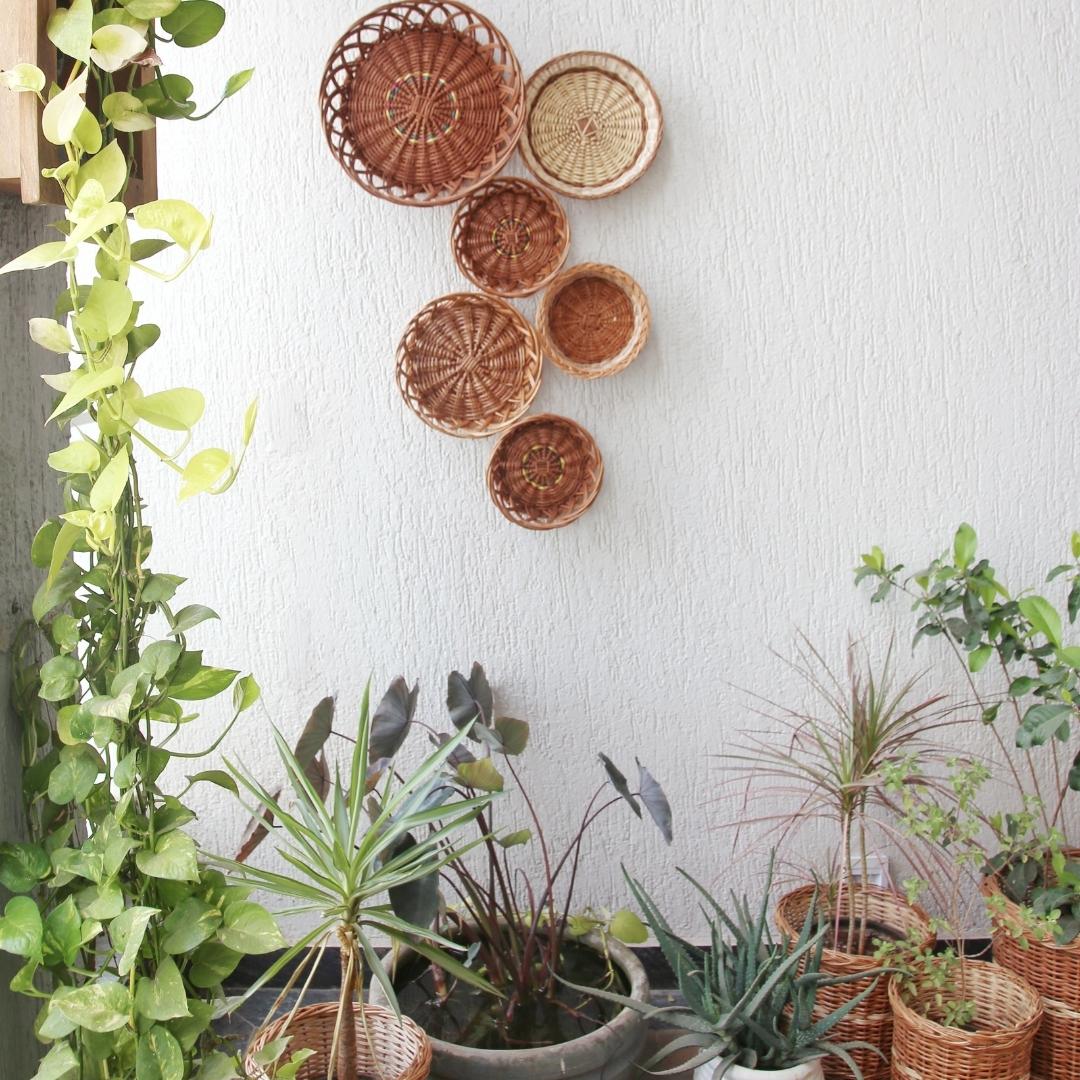North Star Wall Baskets in gallery with plants in background.