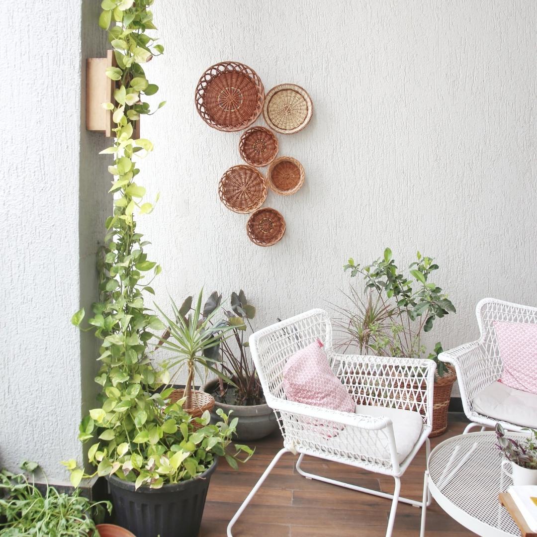 North Star Wall Baskets in gallery with plants in background.