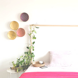 DaisyLife "Super Planet" Wall Plates baskets for wall installation/ wall décor.