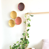 DaisyLife "Super Planet" Wall Plates baskets for wall installation/ wall décor.