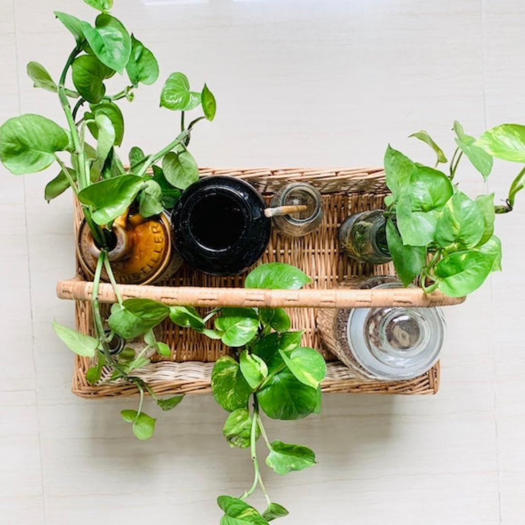 Natural wicker basket for bottles, vegetables, picnics and heavy weights