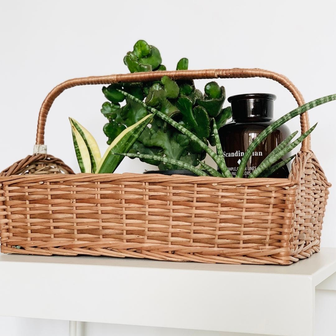 Natural wicker basket for plants and with a handle