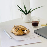Natural and Eco-friendly Natural Wooden Turtle / Tortoise with movable wheels