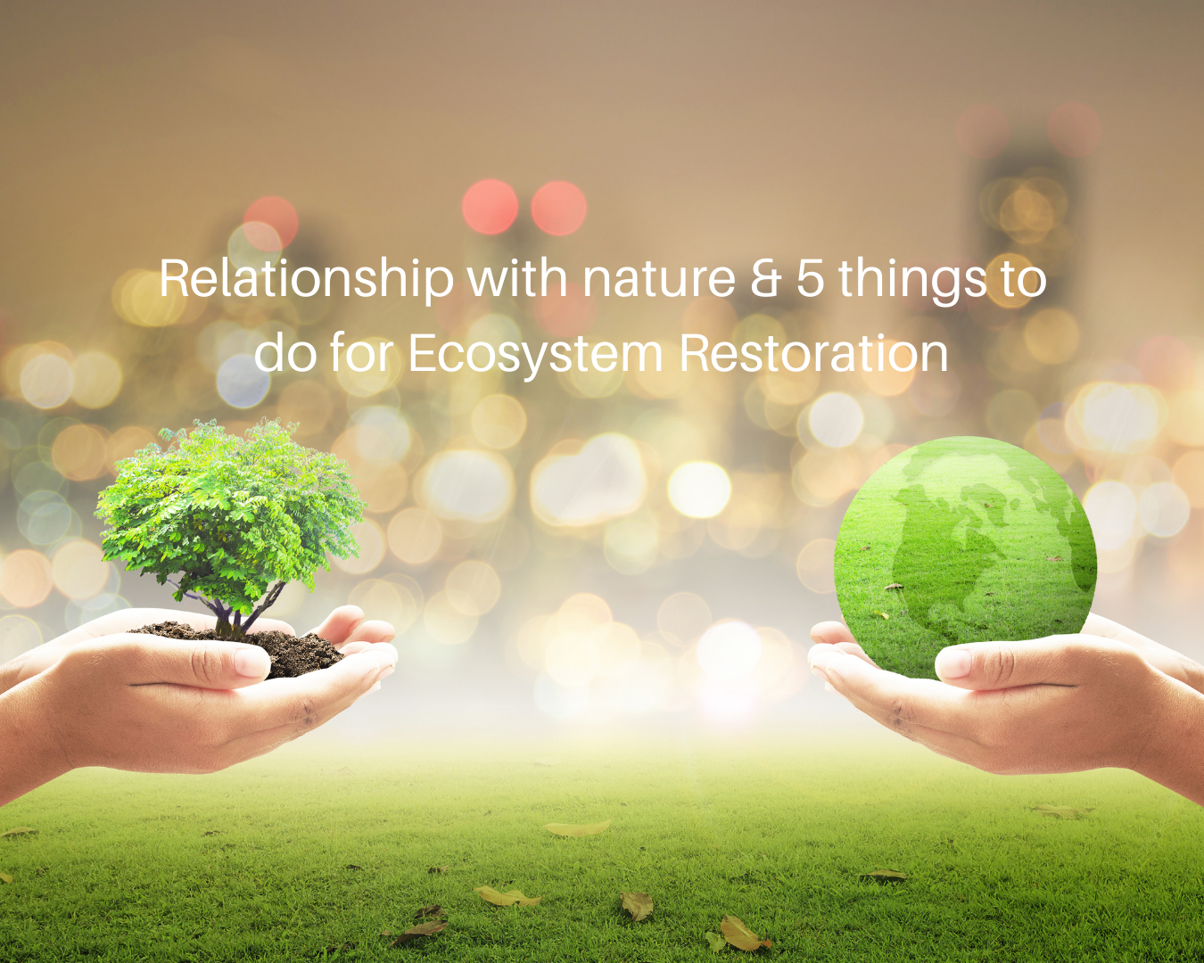 World Environment Day - Relationship with nature & 5 things you can do for Ecosystem Restoration