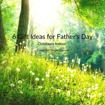 6 gift ideas for Father's Day- Get the outdoor indoor!