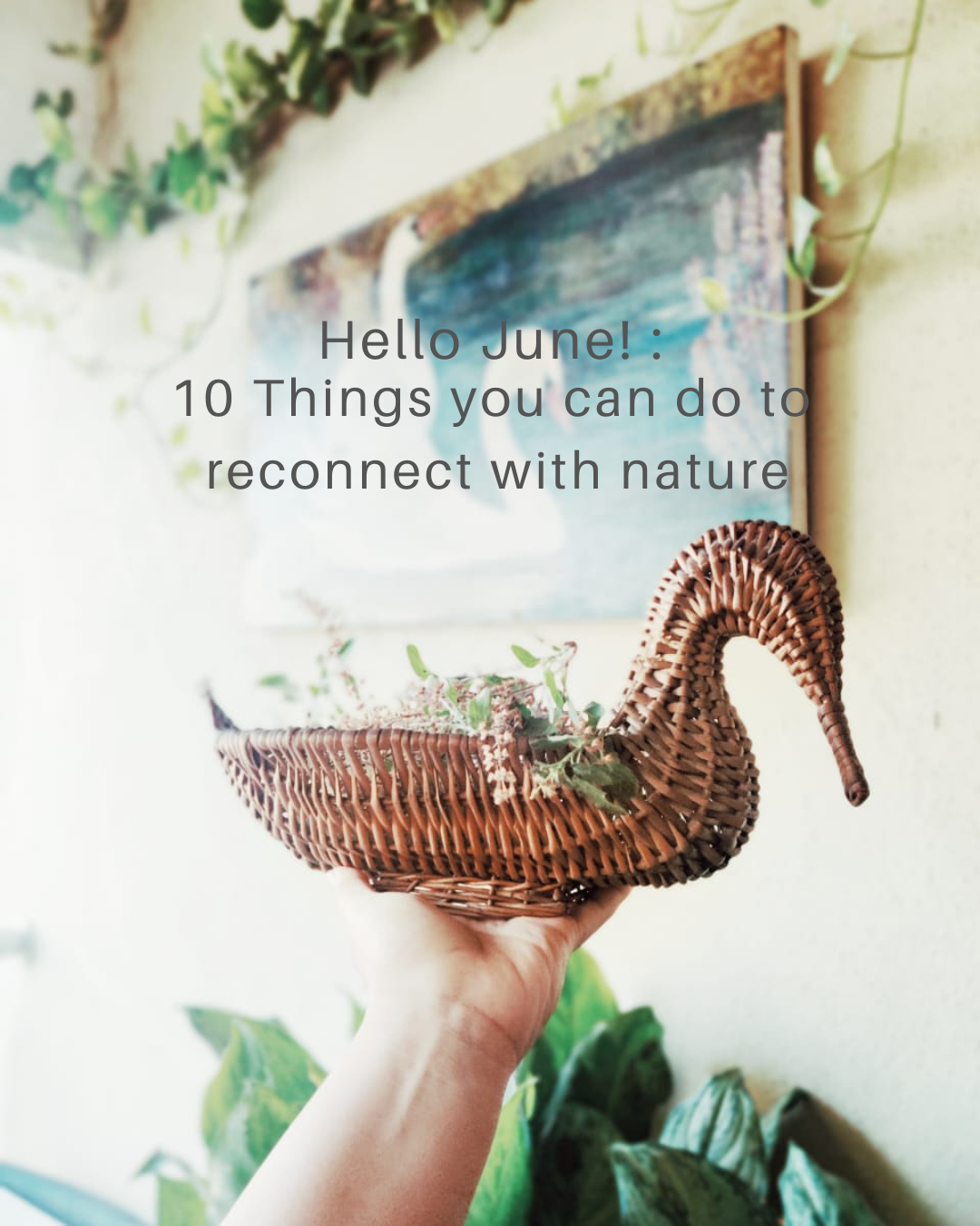 10 things you can do to reconnect with Nature this month