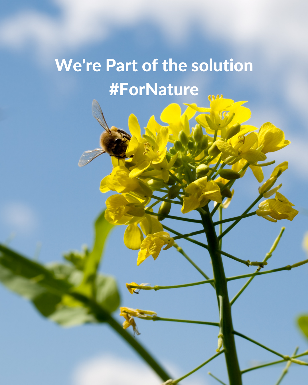 Biological Diversity - We're part of the solution.