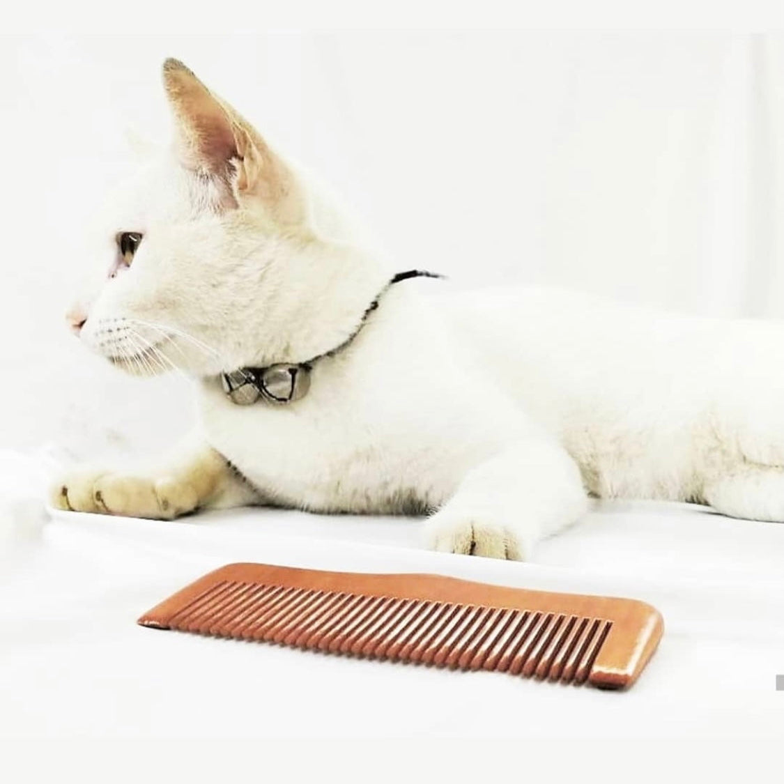 Pet therapy - Combing your pets