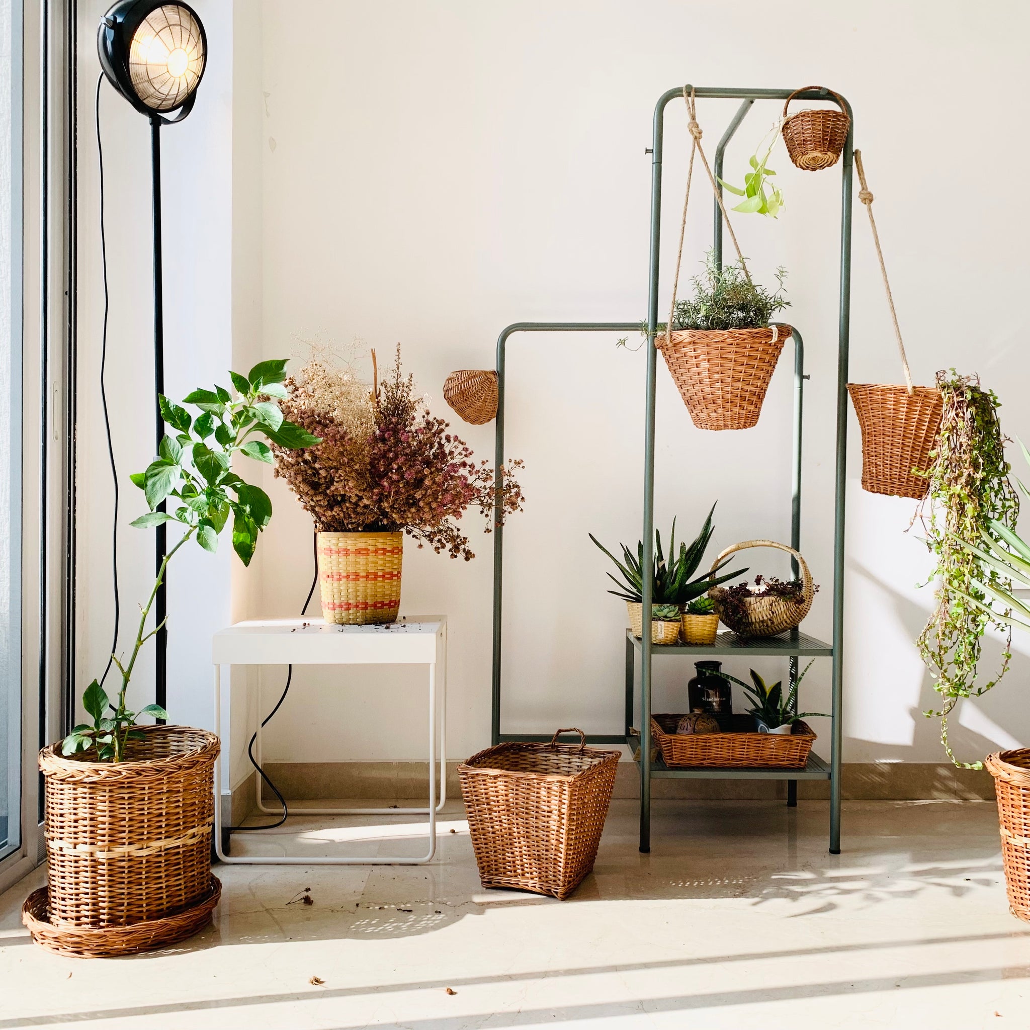 A modern home garden