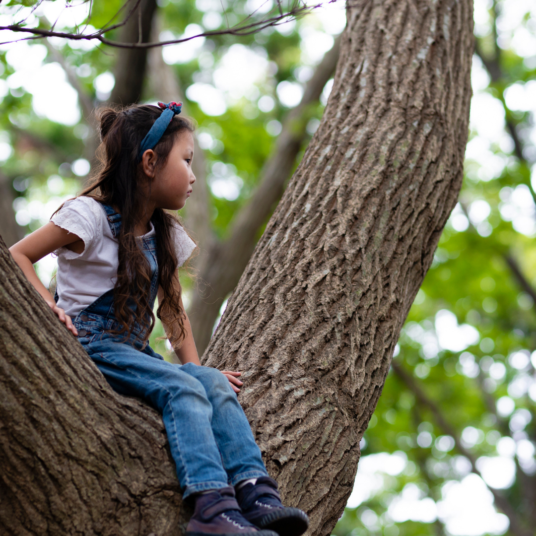 What is Nature Deficit Disorder?