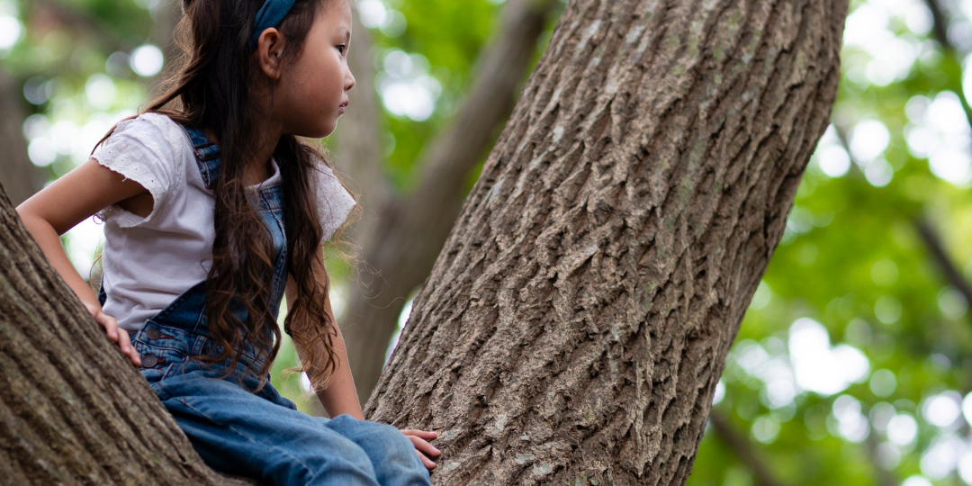 What is Nature Deficit Disorder?