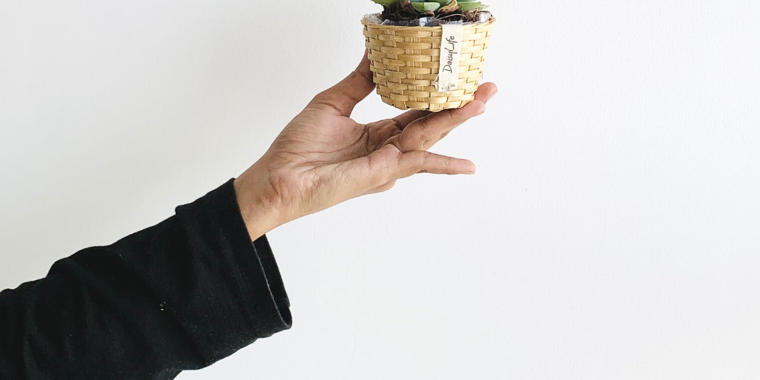 People and Planet :  Sustaining sustainability