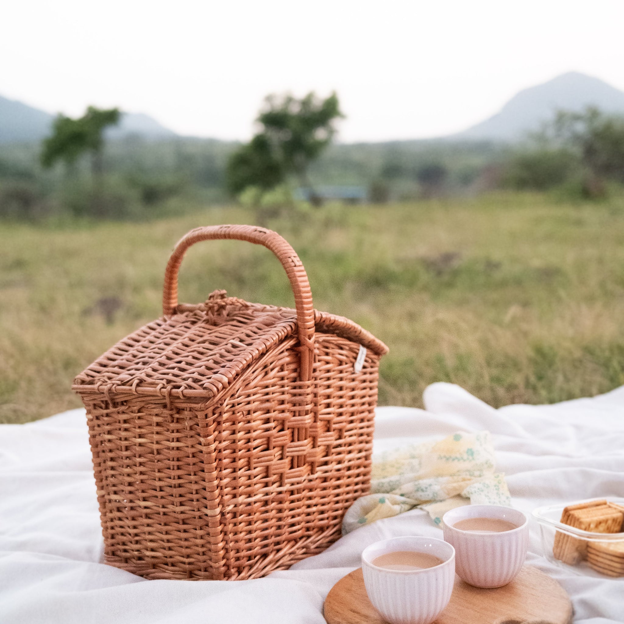 Picnic Day: The DaisyLife Way!