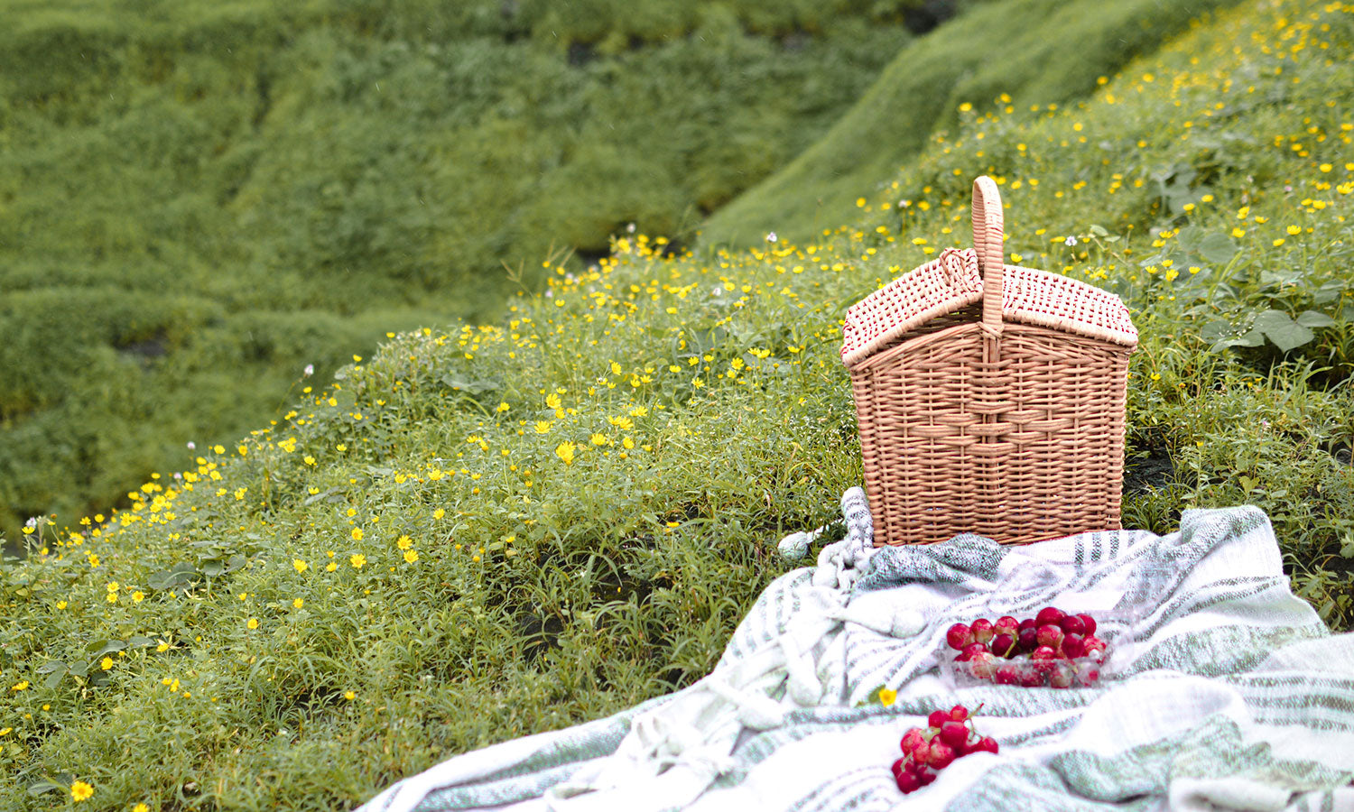 Wicker Baskets