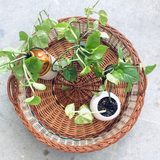 Coffee Table Basket