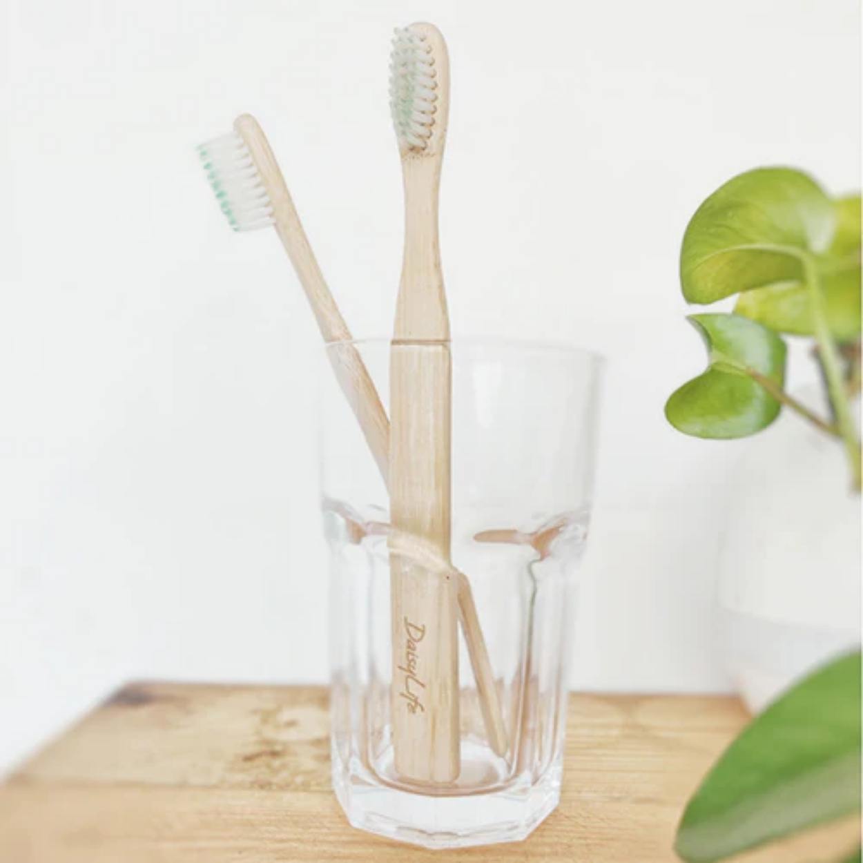 DAISYLIFE Natural Color and Eco-friendly wooden BRUSH