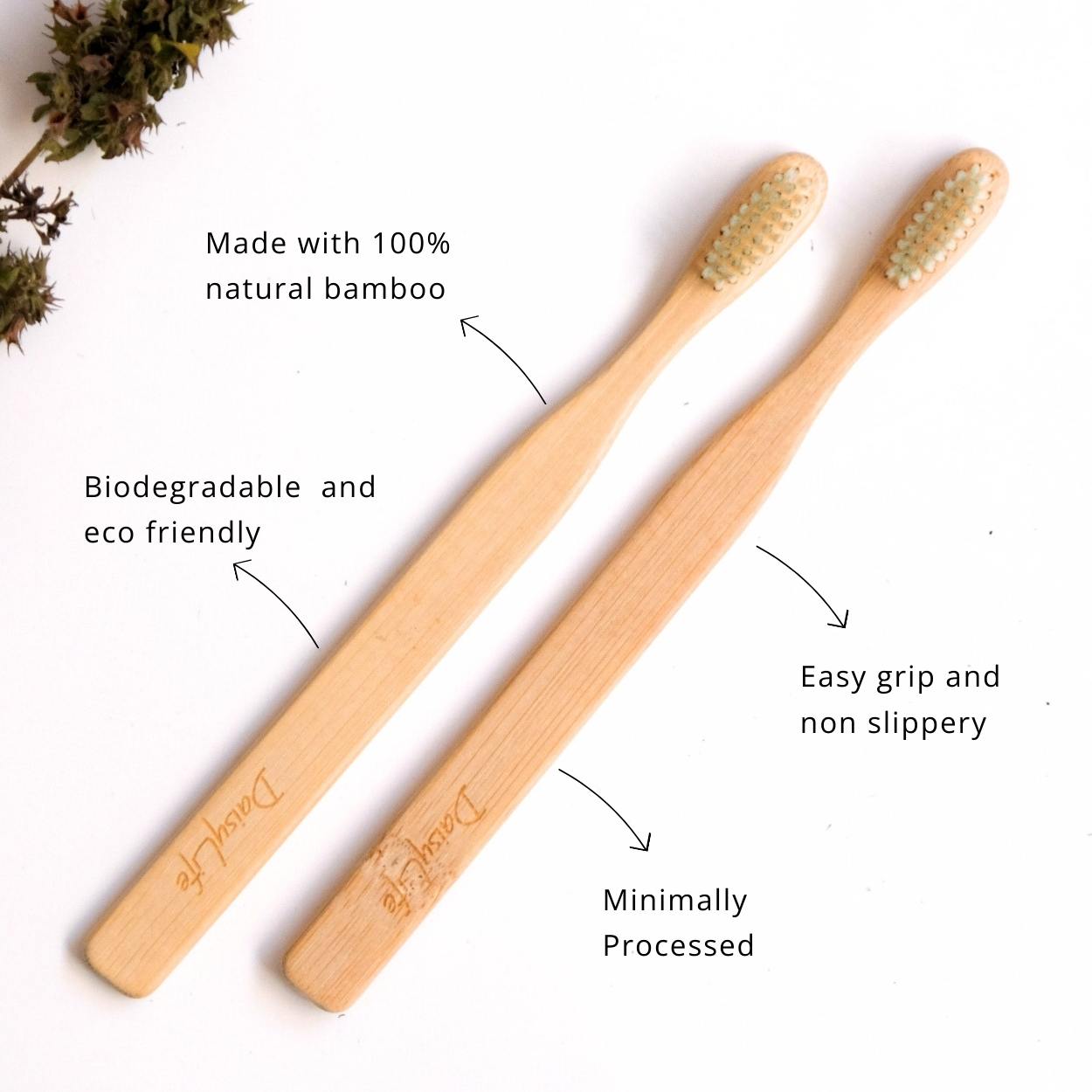 DAISYLIFE Natural Color and Eco-friendly wooden BRUSH