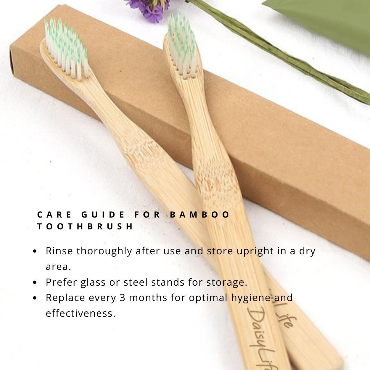 DAISYLIFE Natural Color and Eco-friendly wooden BRUSH