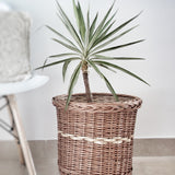 Wicker Planter Set