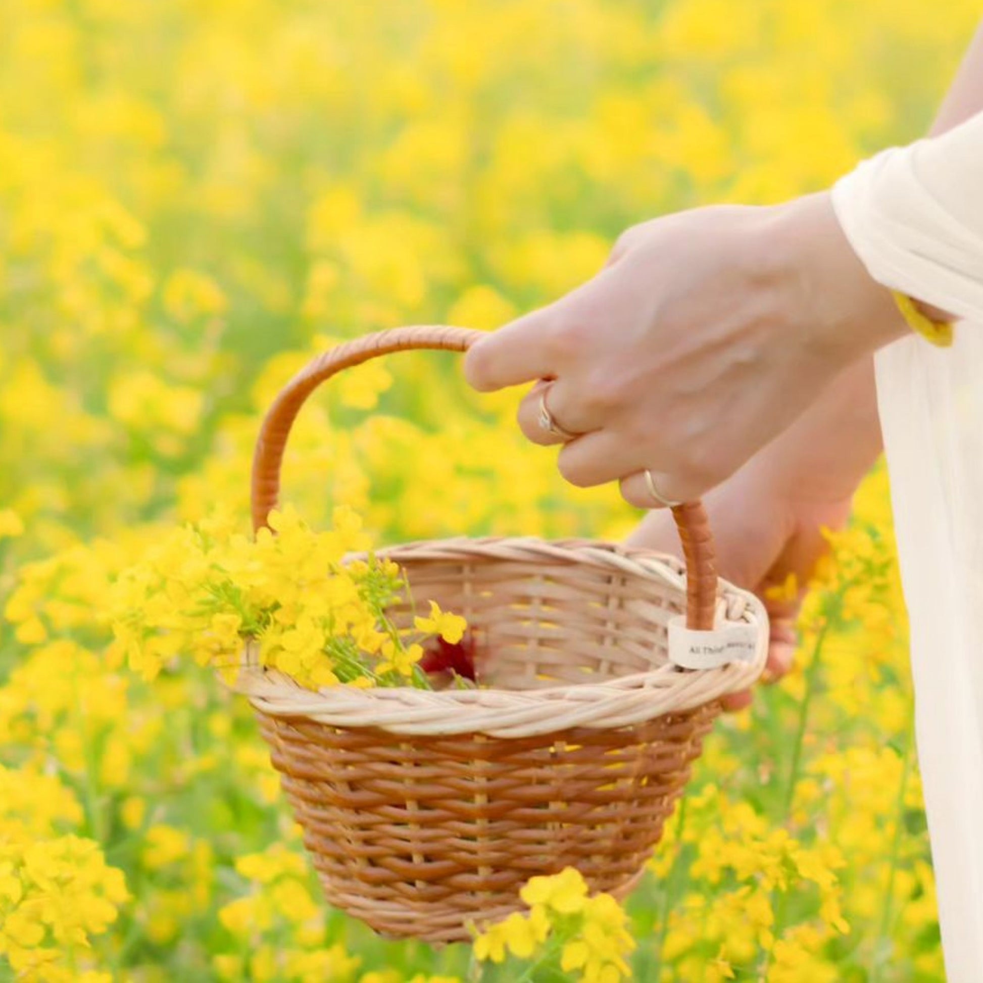 DaisyLife flower girl wicker basket for decoration