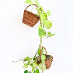 DaisyLife flower girl wicker basket for decoration