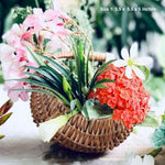 Moon Wicker Basket DaisyLife