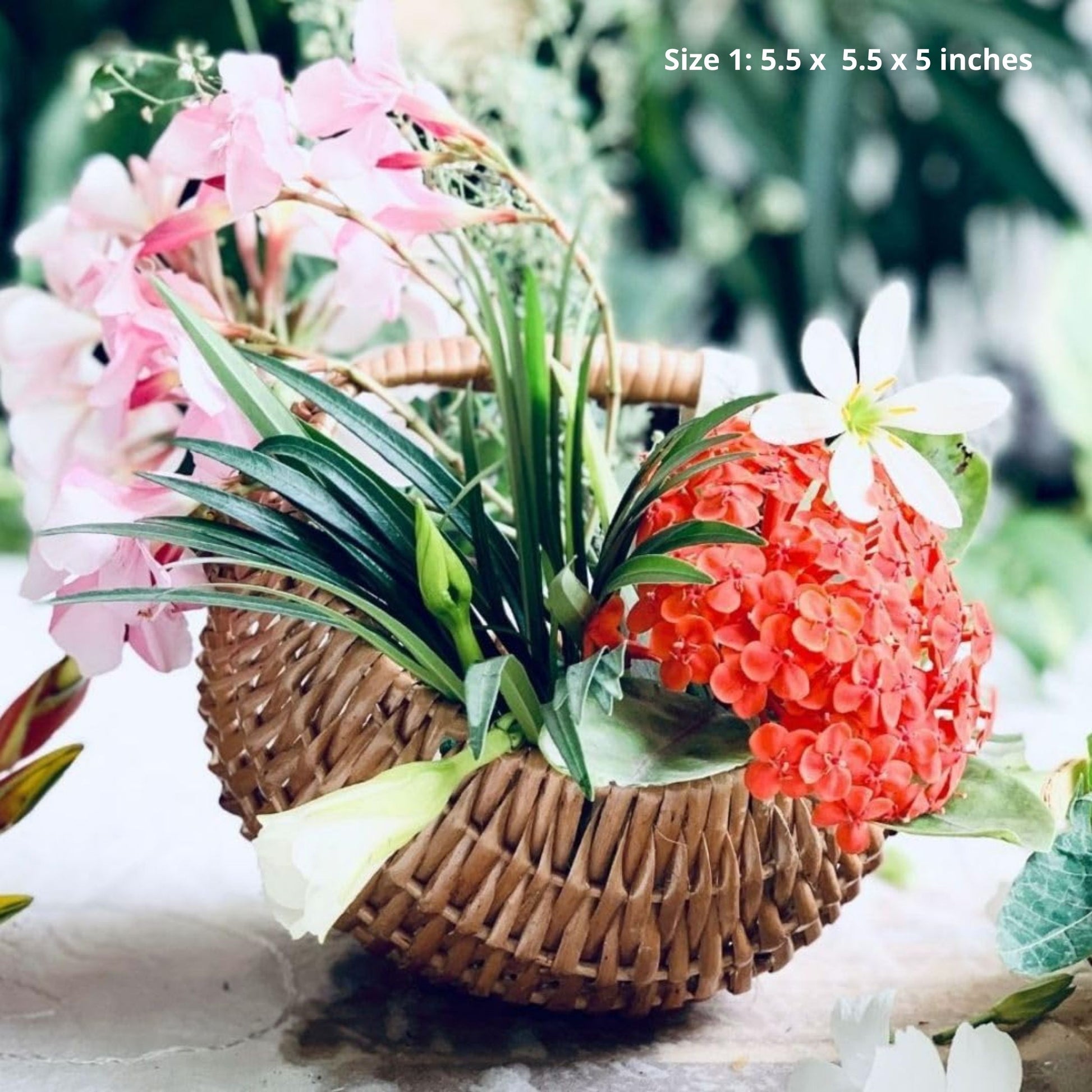 Moon Wicker Basket DaisyLife