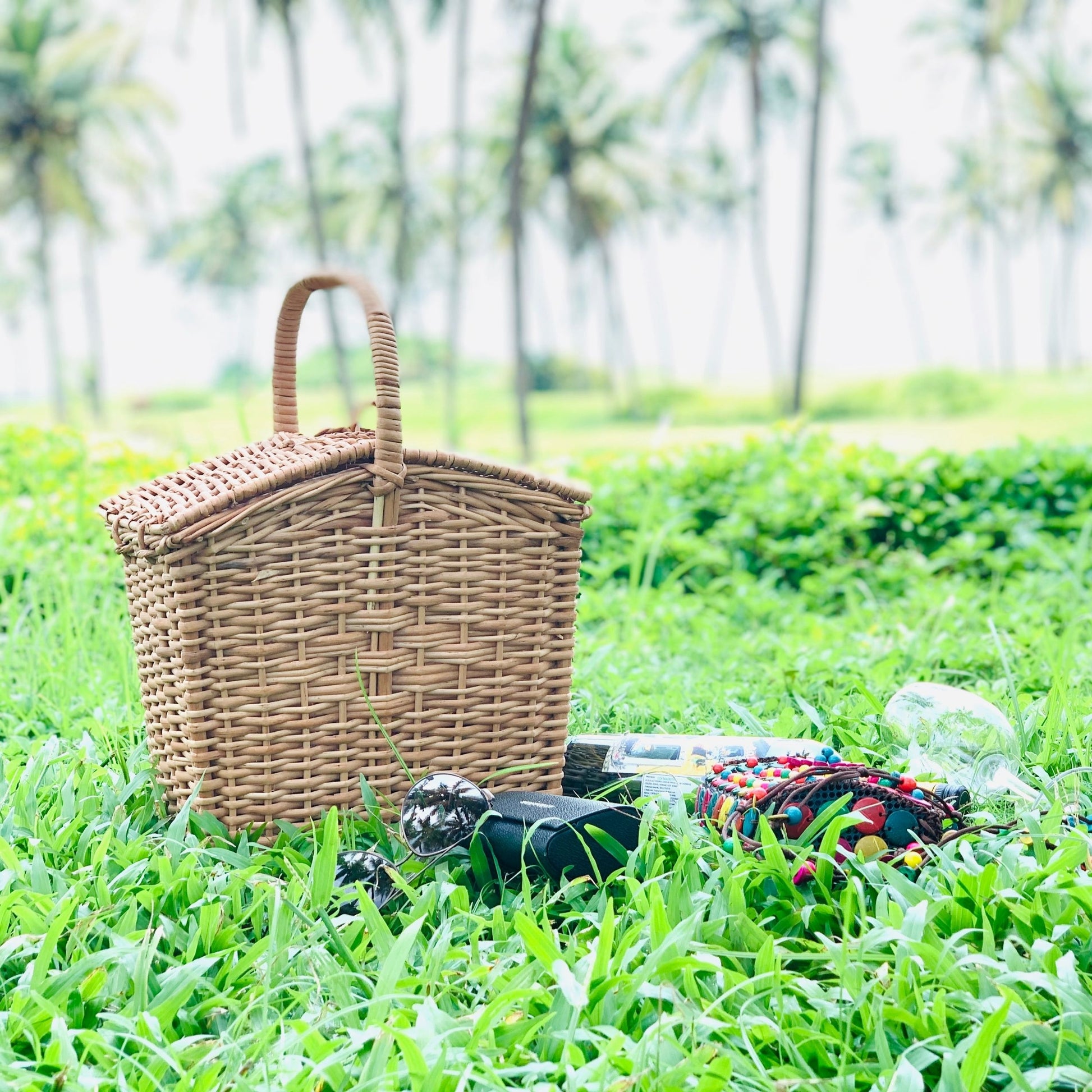 DaisyLife Wicker Picnic Basket