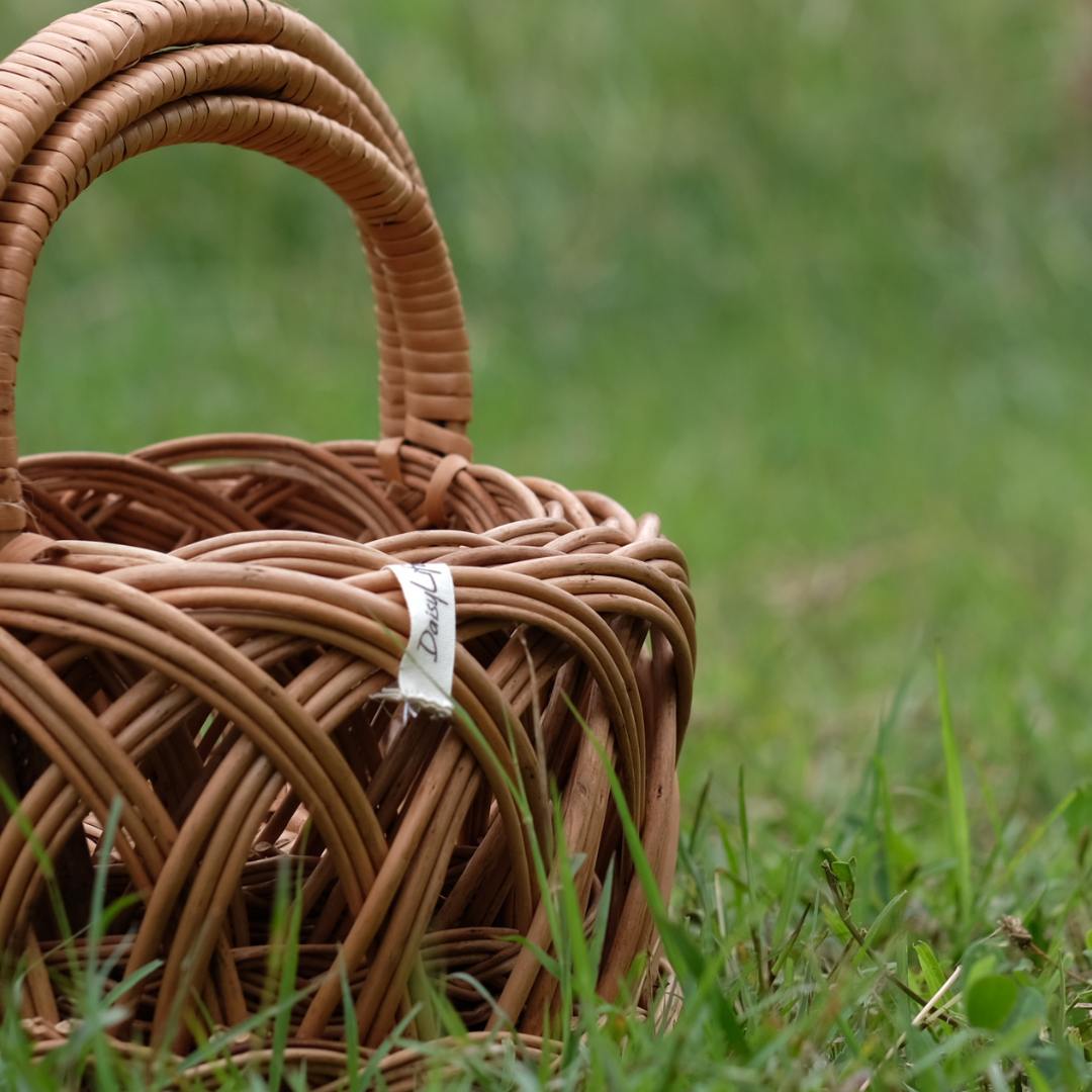 Ring Planter Basket with Handle