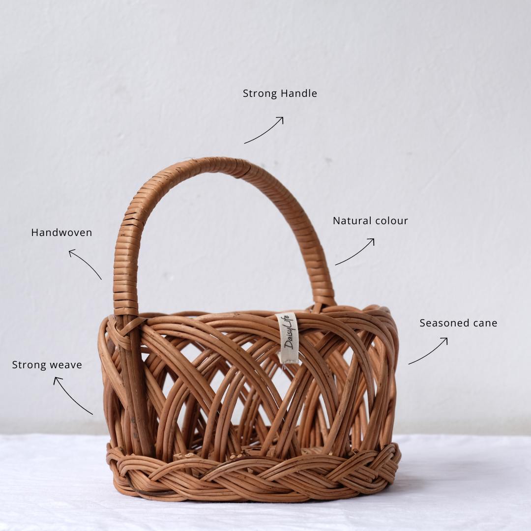 Ring Planter Basket with Handle