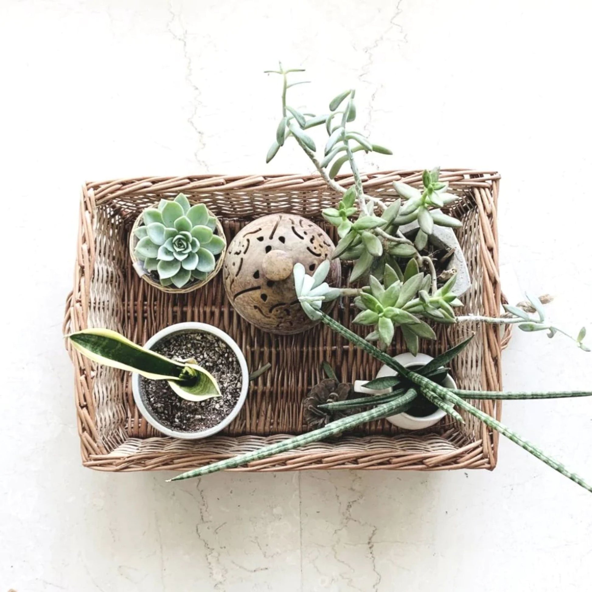 DaisyLife Natural Willow Wicker Tray basket, Flower Basket, Gift Basket, Storage and home decor basket