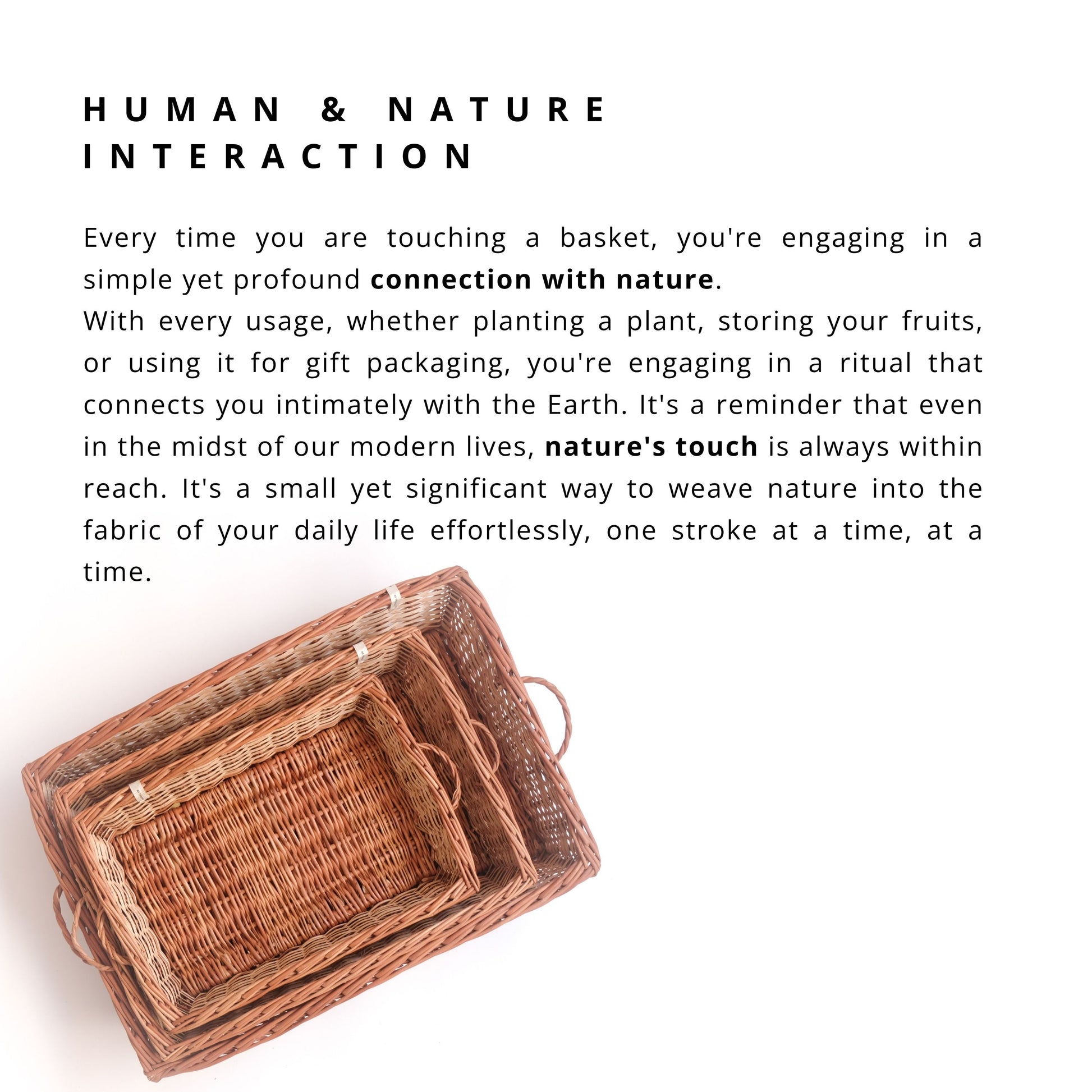 DaisyLife Natural Willow Wicker Tray basket, Flower Basket, Gift Basket, Storage and home decor basket