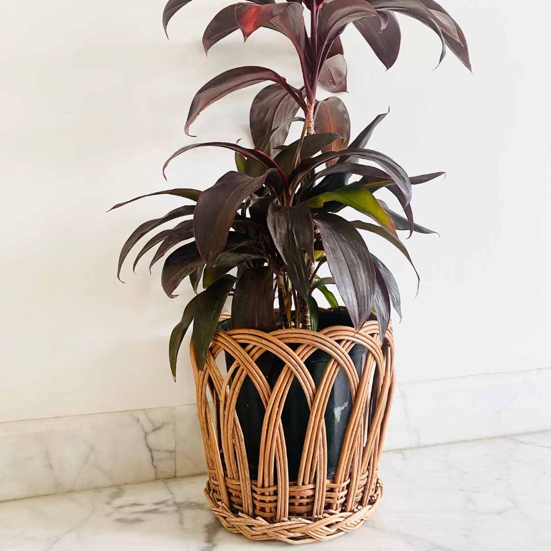 Barney Wicker Planter
