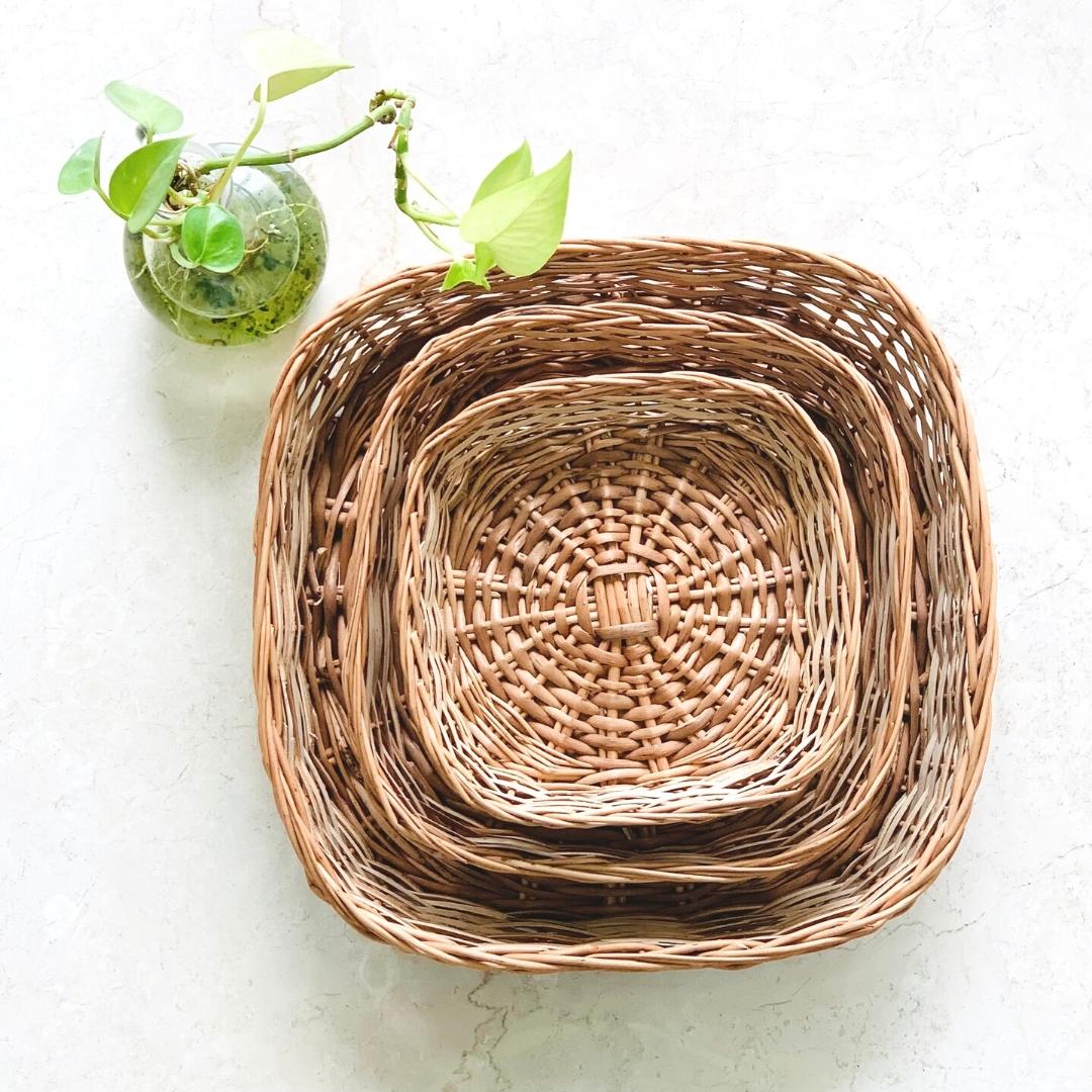 5 Paisa Wicker Basket Set of 3, plant in background