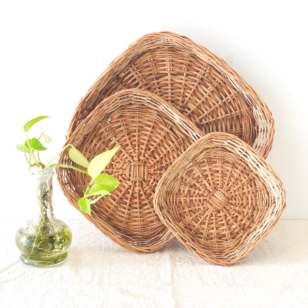 5 Paisa Wicker Basket Set of 3, plant in background