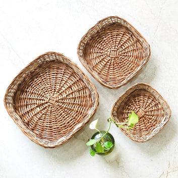 5 Paisa Wicker Basket Set of 3, plant in background