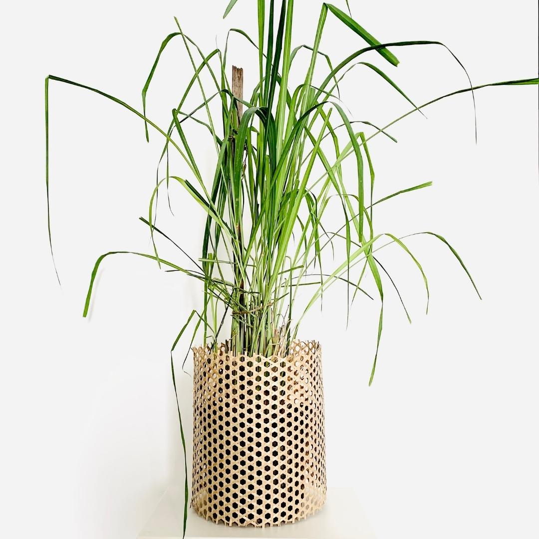 DIY Planter made from 5 meter roll, lightweight, skill-fully handwoven natural bamboo mat.
