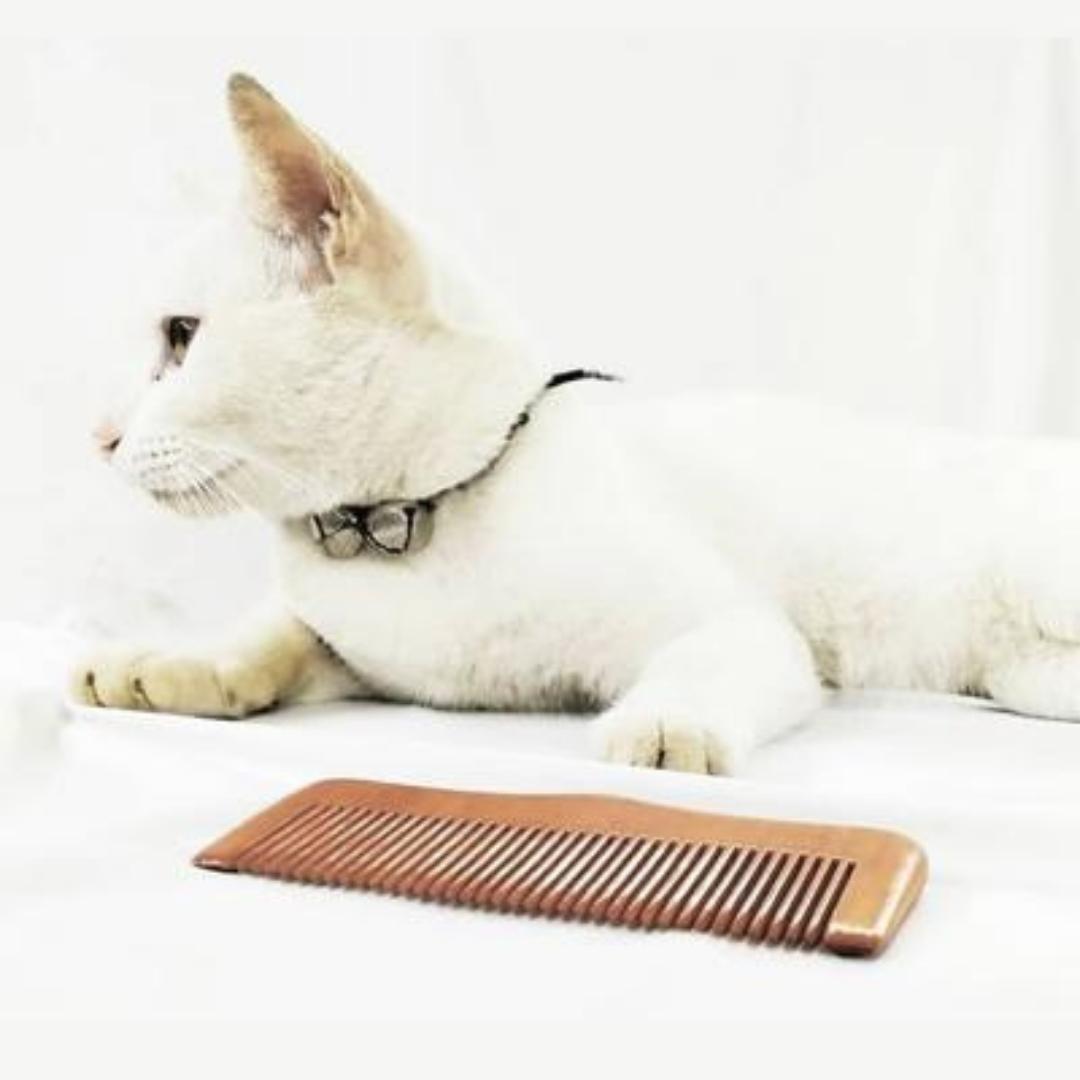 Solid natural wooden combs made from the beech tree kept near a cat