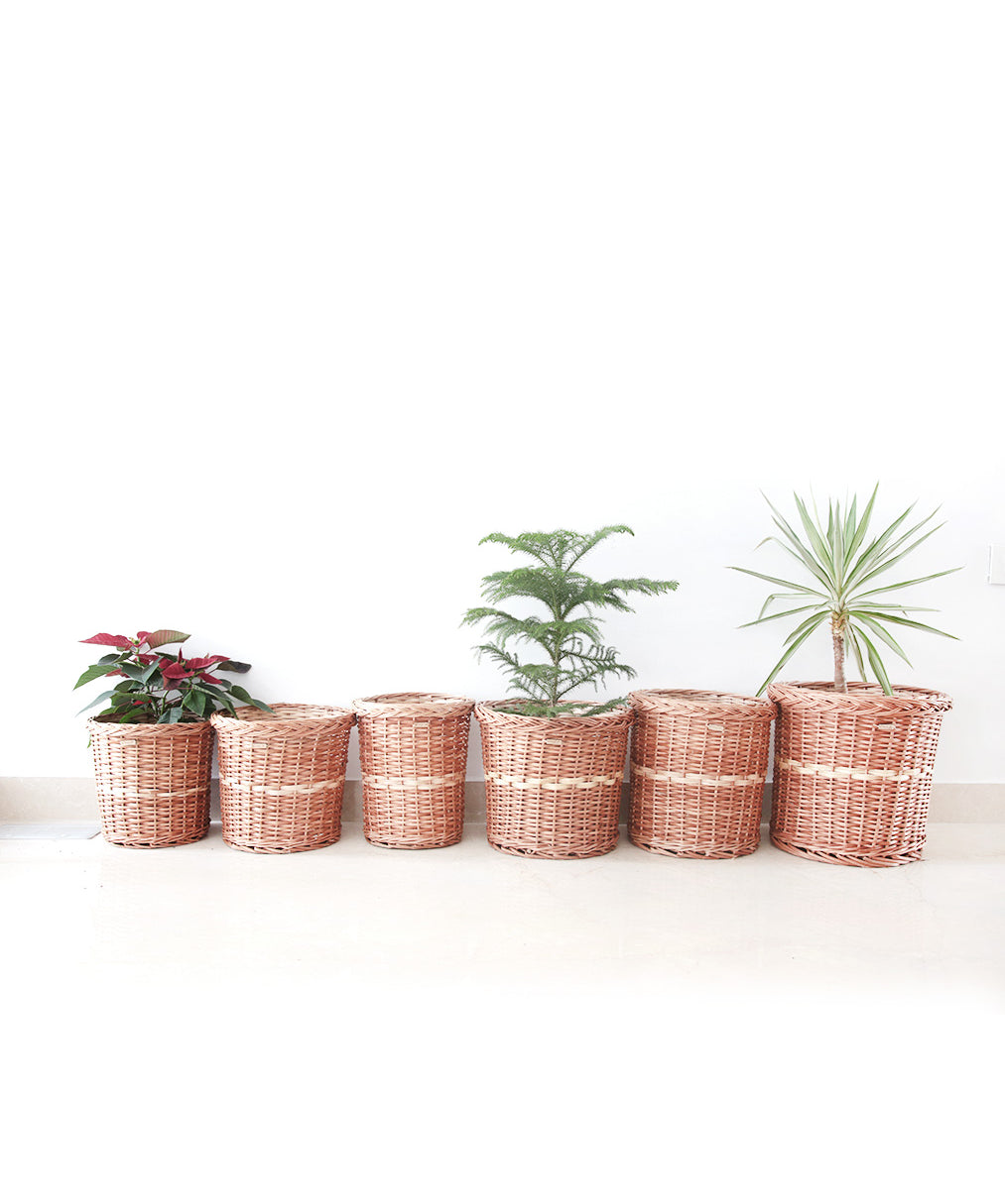 DaisyLife Natural Willow Wicker planter basket, Flower Basket, Gift Basket, Storage and home decor basket