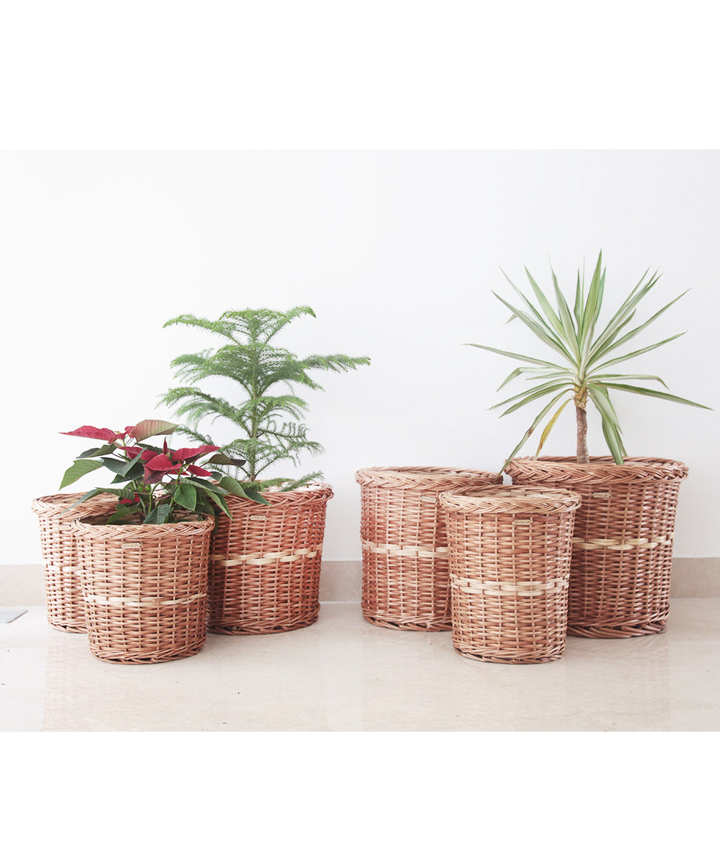 DaisyLife-natural-wicker-planters